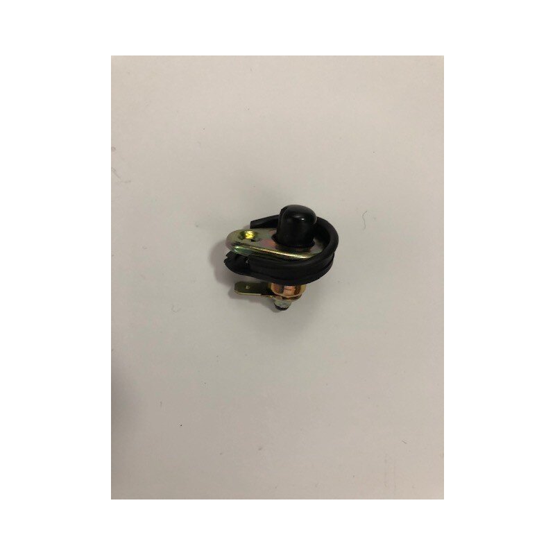 Door pillar switch + seal