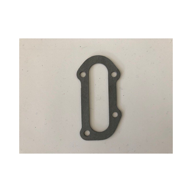 Gasket Timing chain support