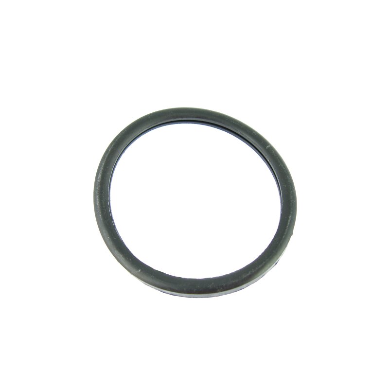 Thermostst  gasket Integrale  8V