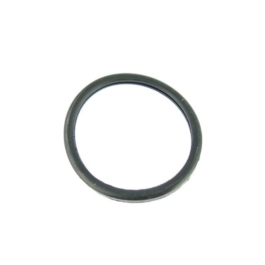 Thermostst  gasket Integrale  8V