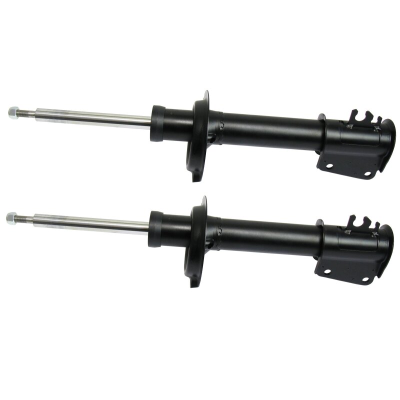 Shock absorber rear set of 2 pieces  EVOLUZIONE