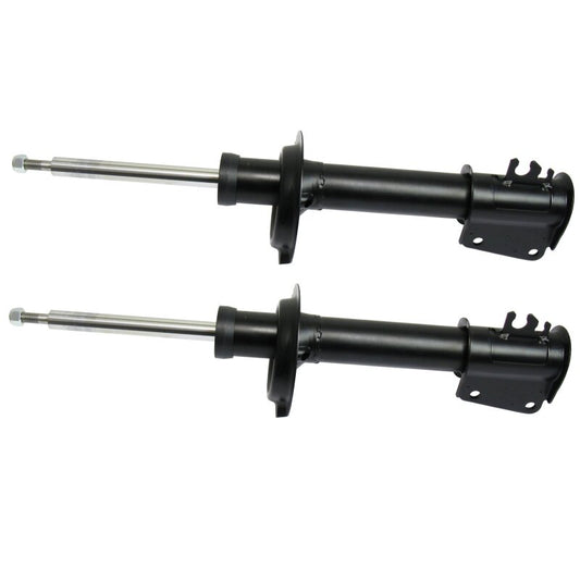 Shock absorber rear set of 2 pieces  EVOLUZIONE