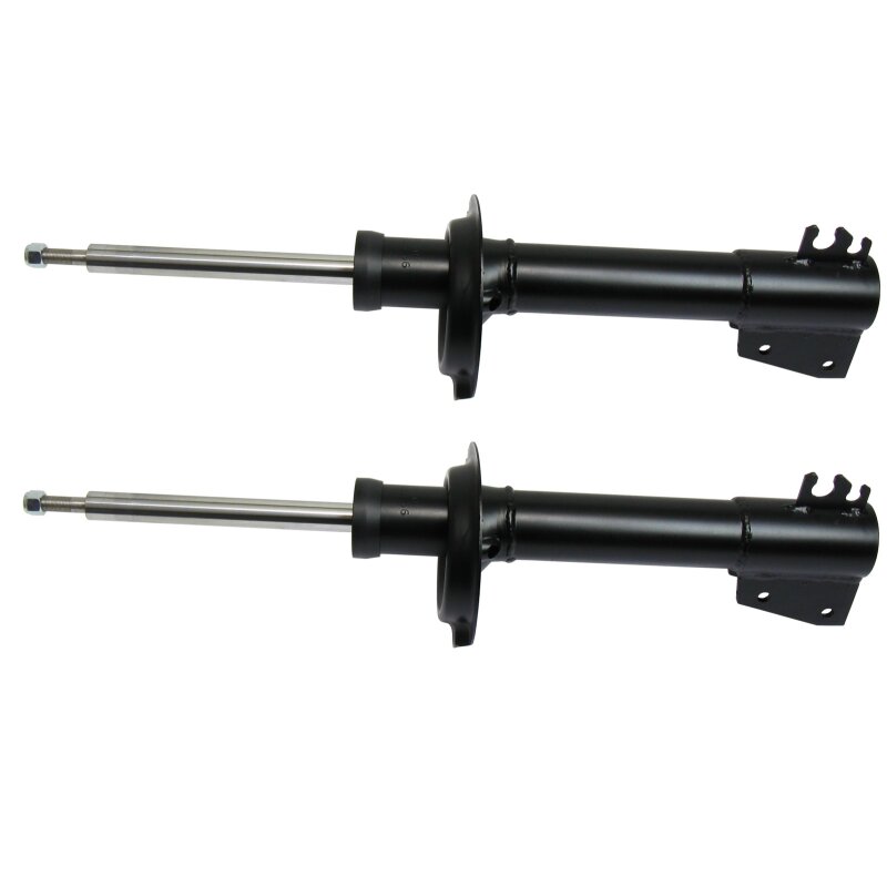 Shock absorber rear  set of 2 pieces Integrale