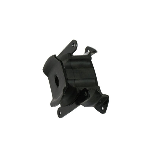 Engine mount lower left