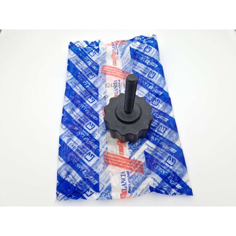 Screw for the spare wheel in the boot