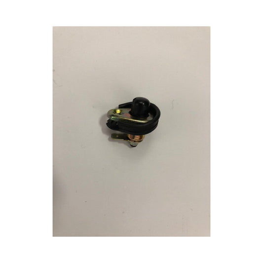 Door pillar switch + seal