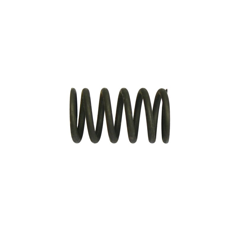 Valve spring outer
