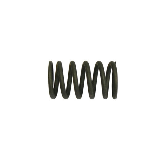 Valve spring outer