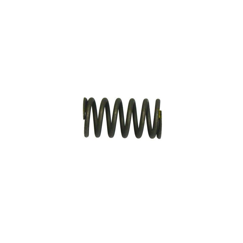 Valve spring inner