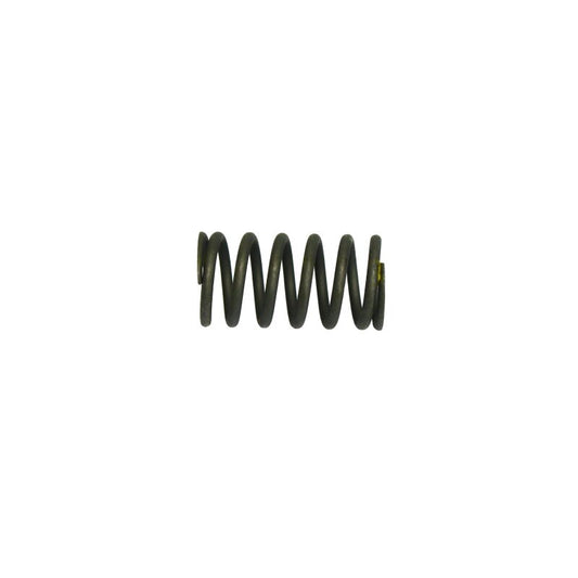 Valve spring inner