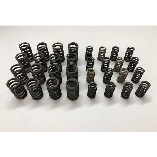 Valve spring Set 037