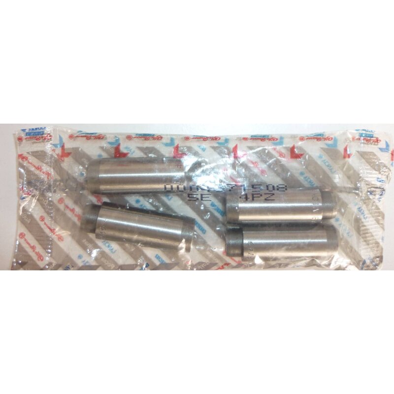 Inlet valve guide  Set 8 V